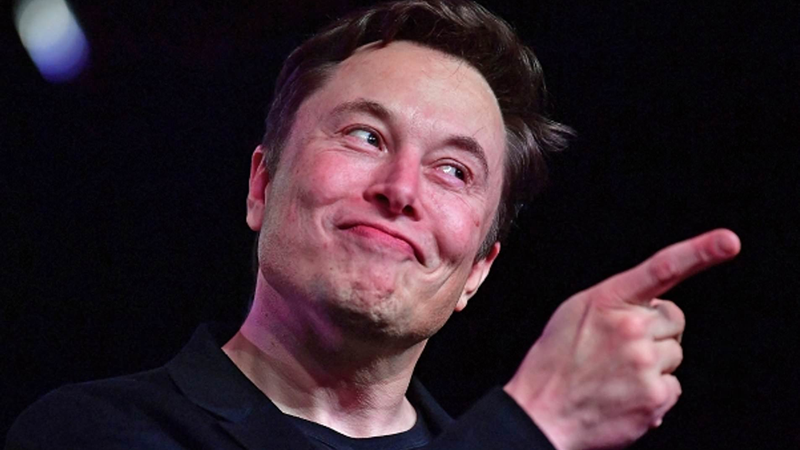 Tesla boss Elon Musk crowns himself