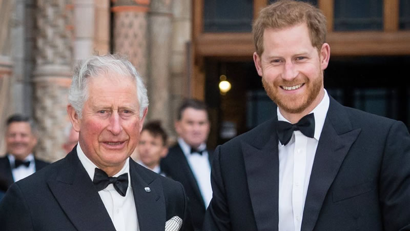 prince-charles-decision-to-cut-prince-harry
