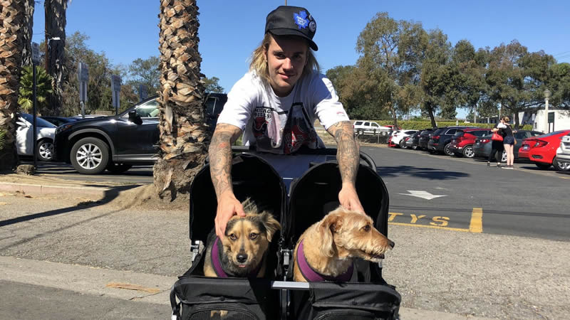 Justin Biebers takes his doggy devotion to another level