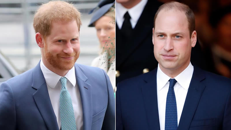 Prince Harry, William shared private conversation