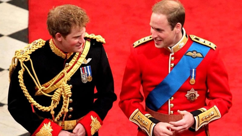 Prince William Made a Joke About Harry