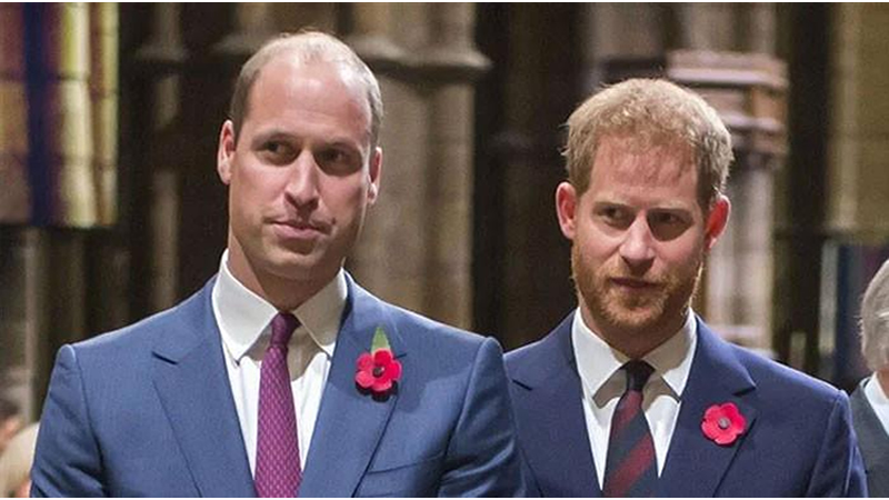 Prince Harry, William still at odds