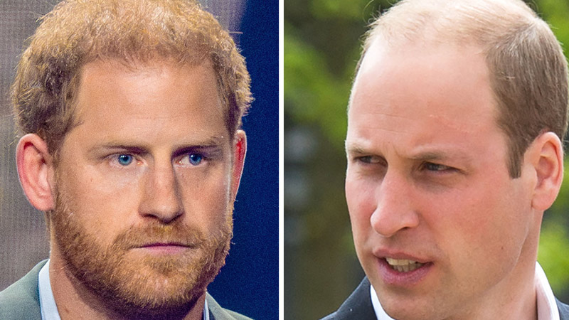 Prince William and harry