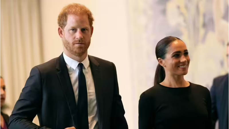 Prince Harry and Meghan Could Be 'Hugely Valuable Assets' to the ...