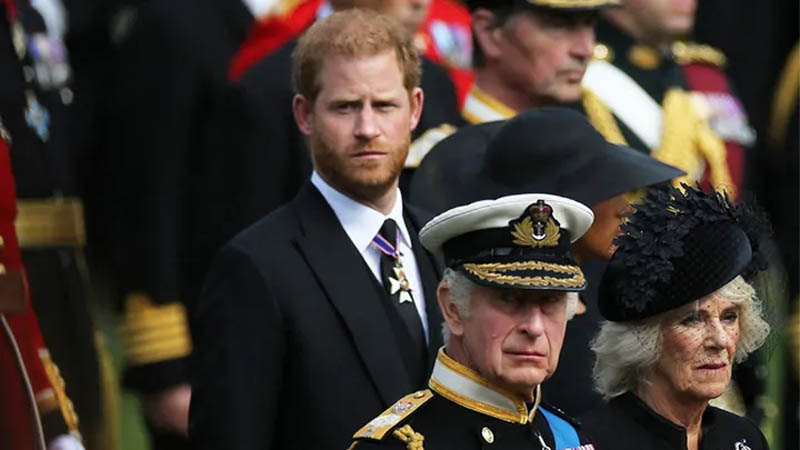 Queen Camilla, King Charles and Harry
