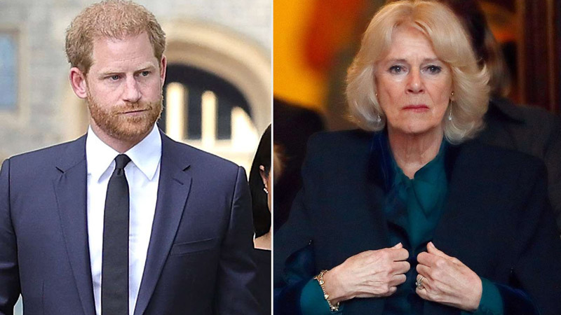 Prince-Harry-and-Queen-Camilla