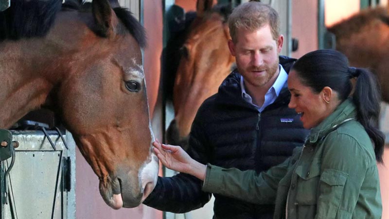 Harry and Meghan