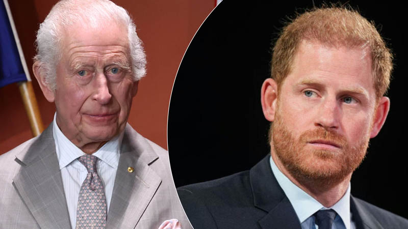 Experts Warn Prince Harry’s Fallout Could Tarnish King Charles III’s Legacy
