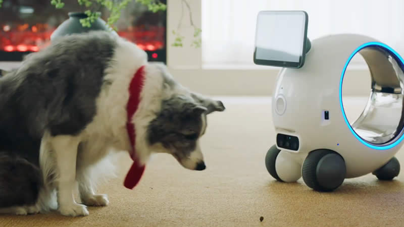 Tuya Smart Pet Robot