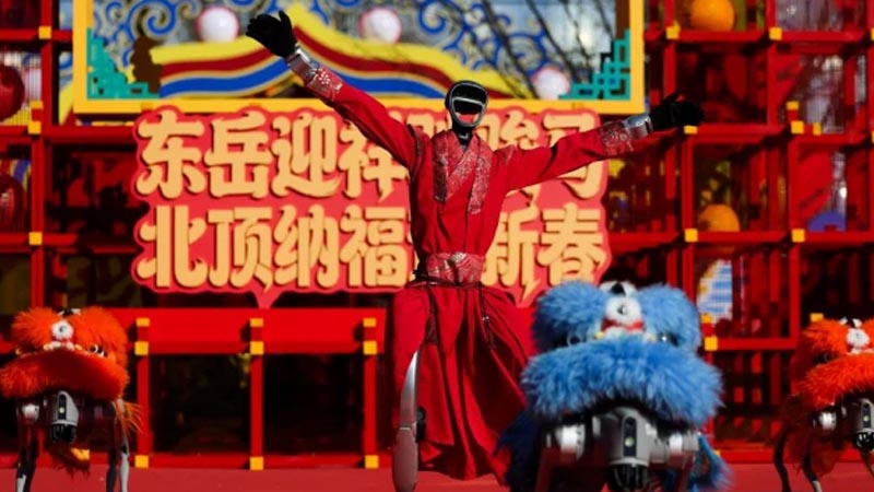 China Humanoid Robot