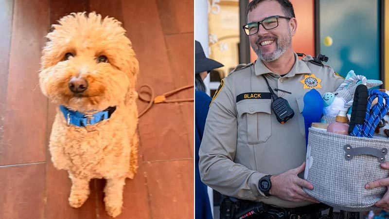 Dog Rescued by LVMPD officers