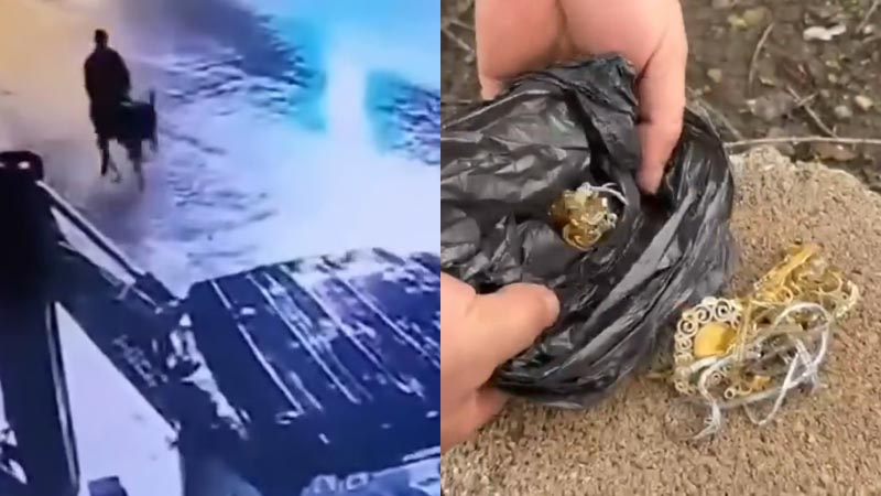 Jewellery thief smashes into shop with a forklift then escapes from the crime scene on a Donkey